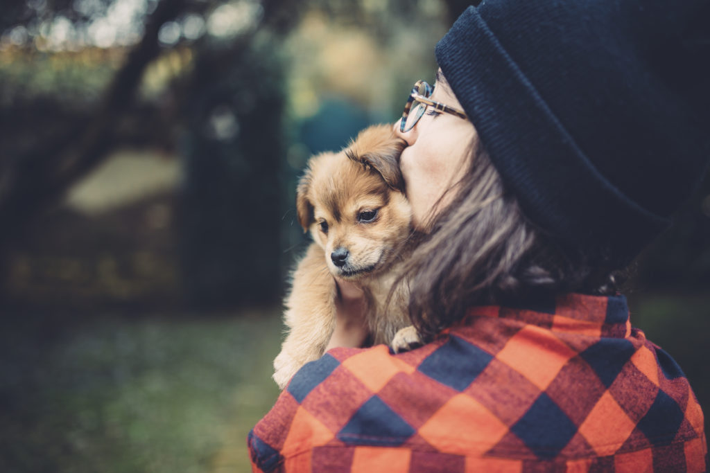 5 Important Commands to Train Your Puppy During the First Month