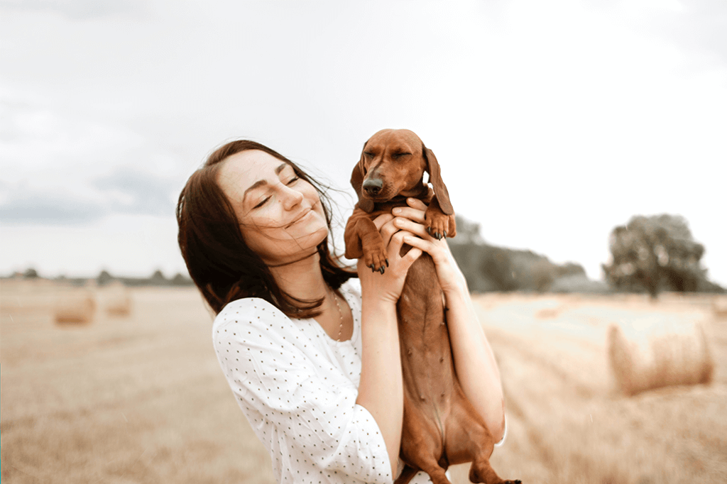 How To Teach A Dog To Pose For Photos