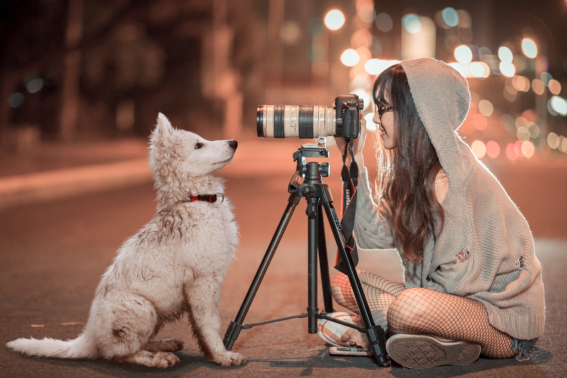 Woman on street with tripod showing how to teach a dog to pose for photo