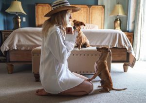 Woman using dog training tools to teach her dog