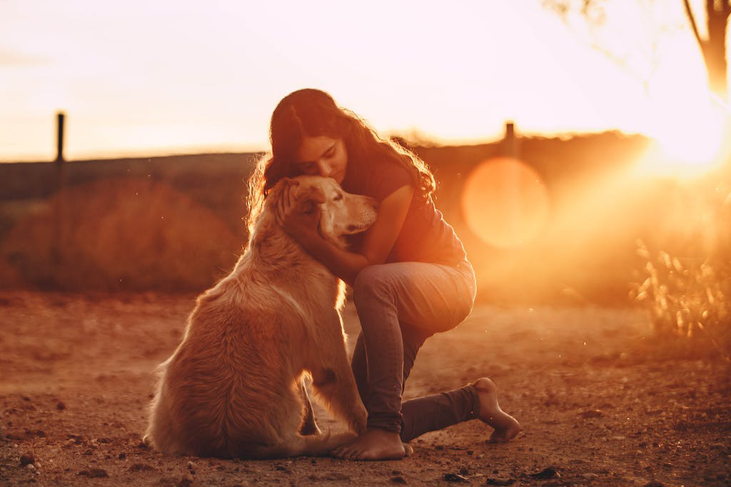 Training Your Dog to Be an Emotional Support Animal