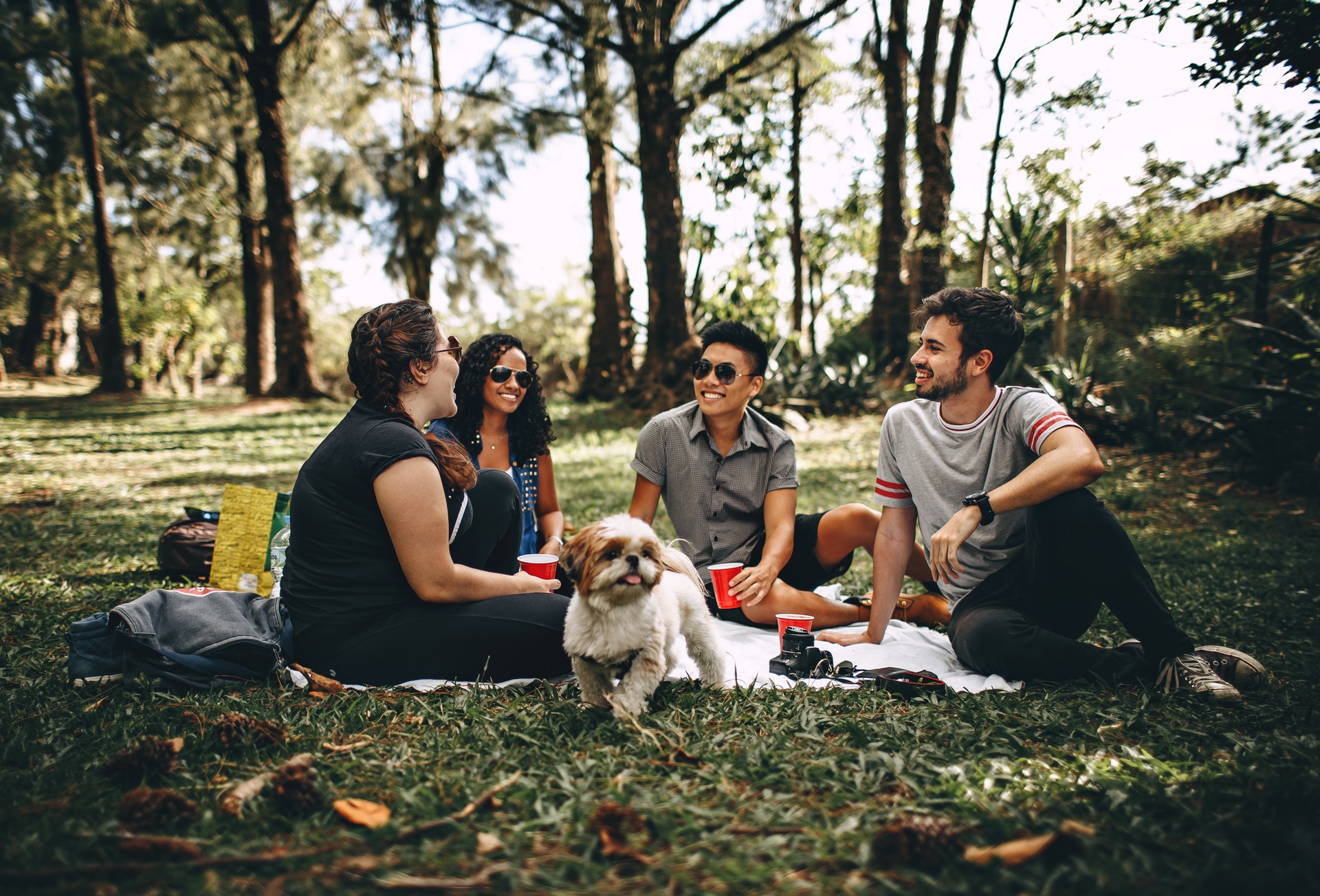 Man with dog at picnic because he knows how to choose a dog breed that suits him